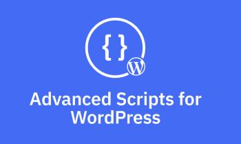 Advanced Scripts Manager for WordPress